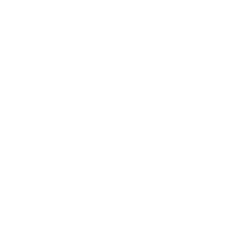 Momentum26_W