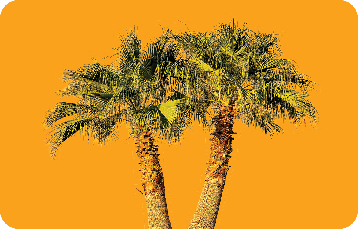 Momentum_Things_To_Do_Inset_image